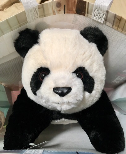 2019/6/12シャンシャン写真＆上野動物園で購入できるシャンシャン2歳お