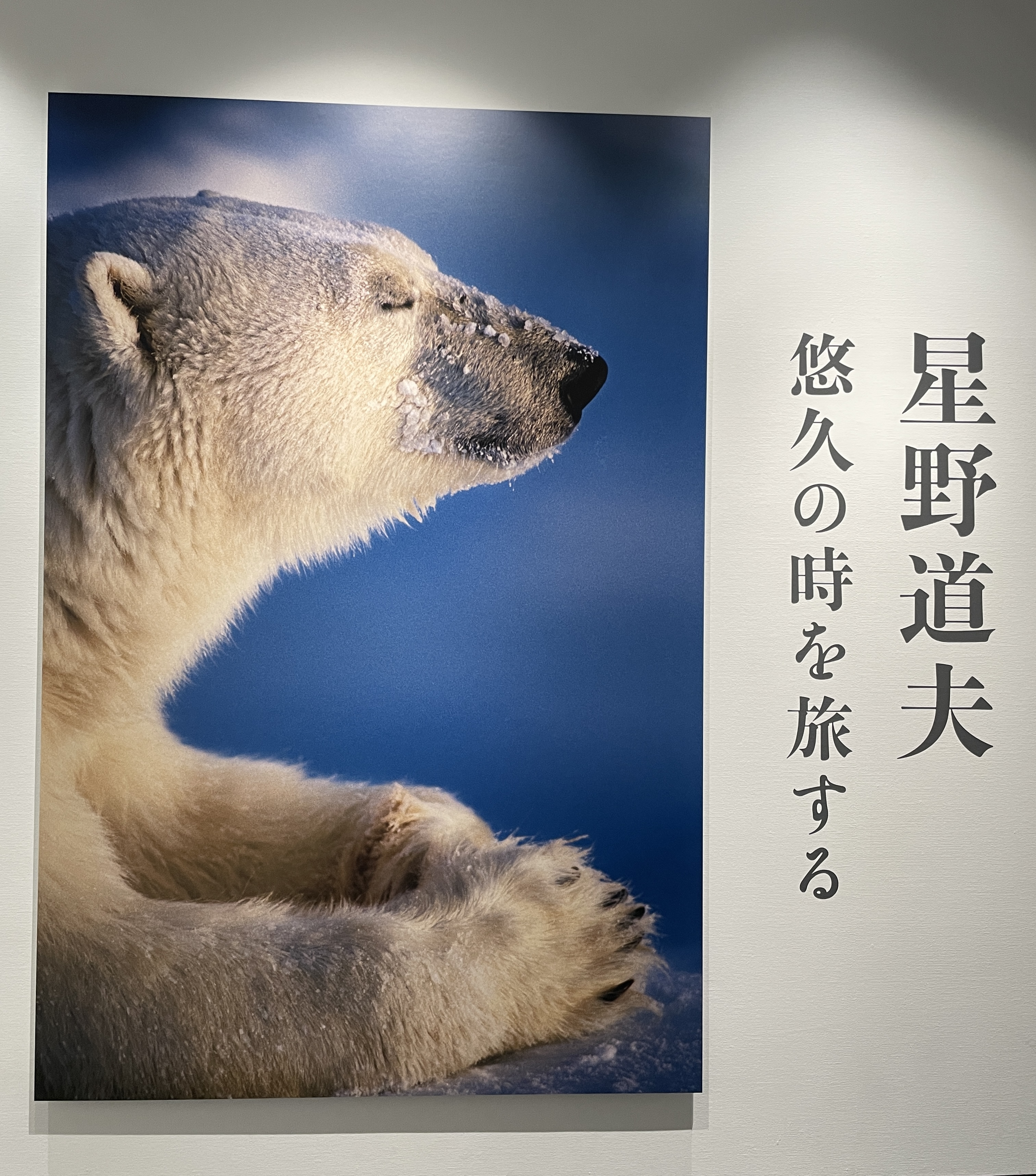 img_1515.jpg?resize=264,300&ssl=1