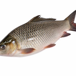 Fresh Rui Fish - Premium Fresh Rohu Fish | Hamakere Haat