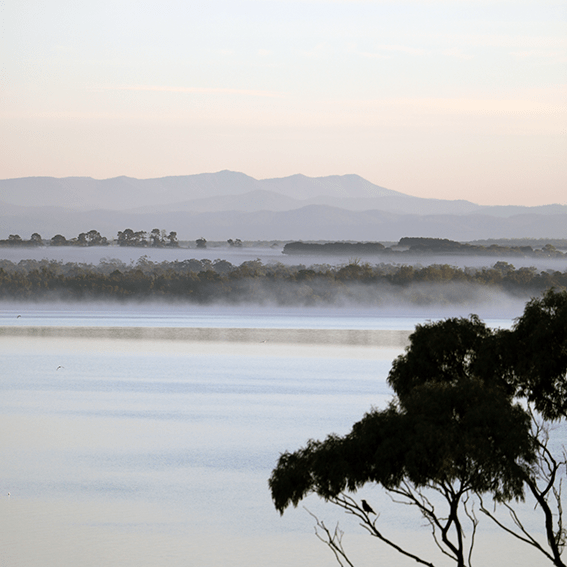 Mist_Mountains_Water
