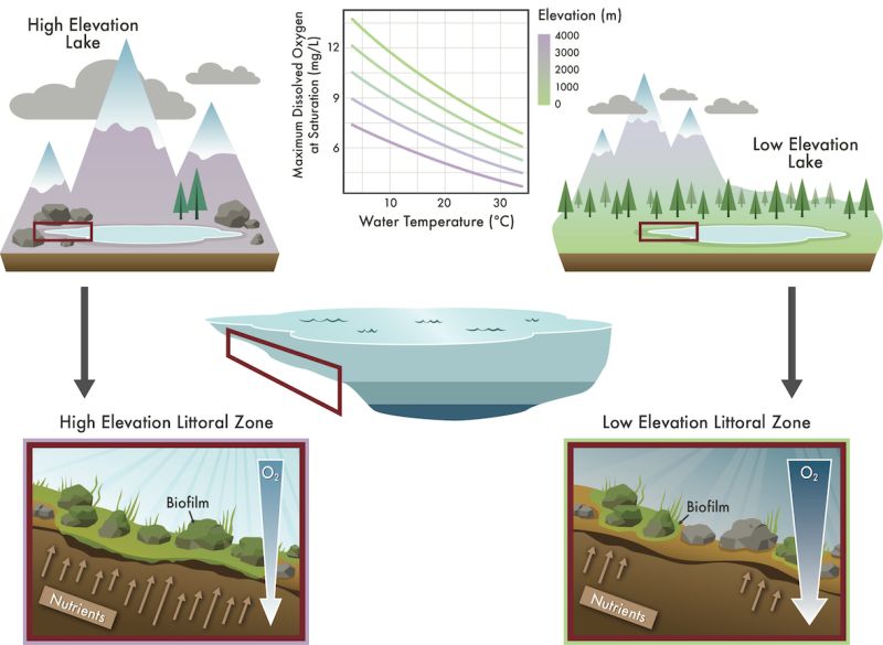 Hampton Lab Github - Premium Abstract Art Gallery - 8K