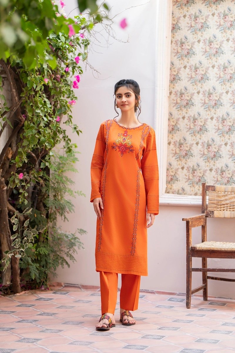 Embroidered Elegance Frock Set
