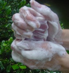 Germ Smart - Wash Your Hands!