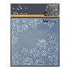Layered Snowflakes EF