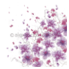 Tender Flowers Purple 12x12