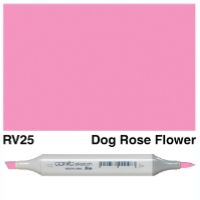 Copic RV25