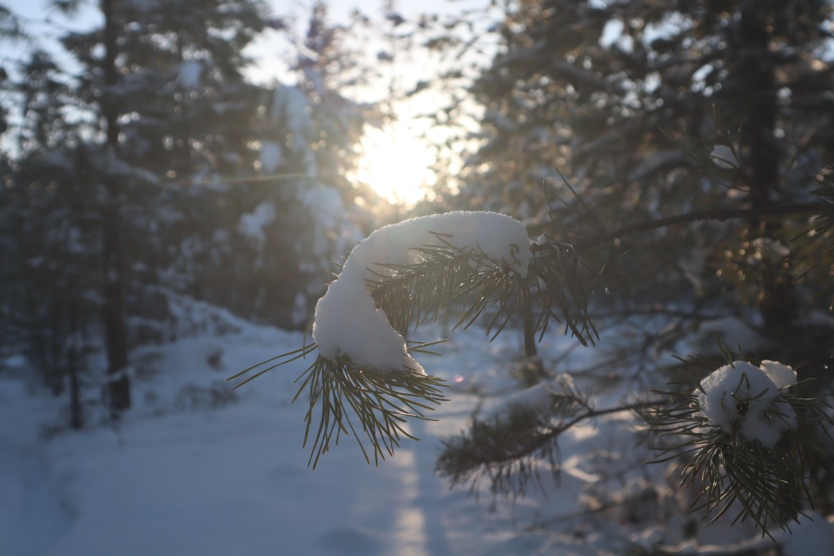 sunset in winter