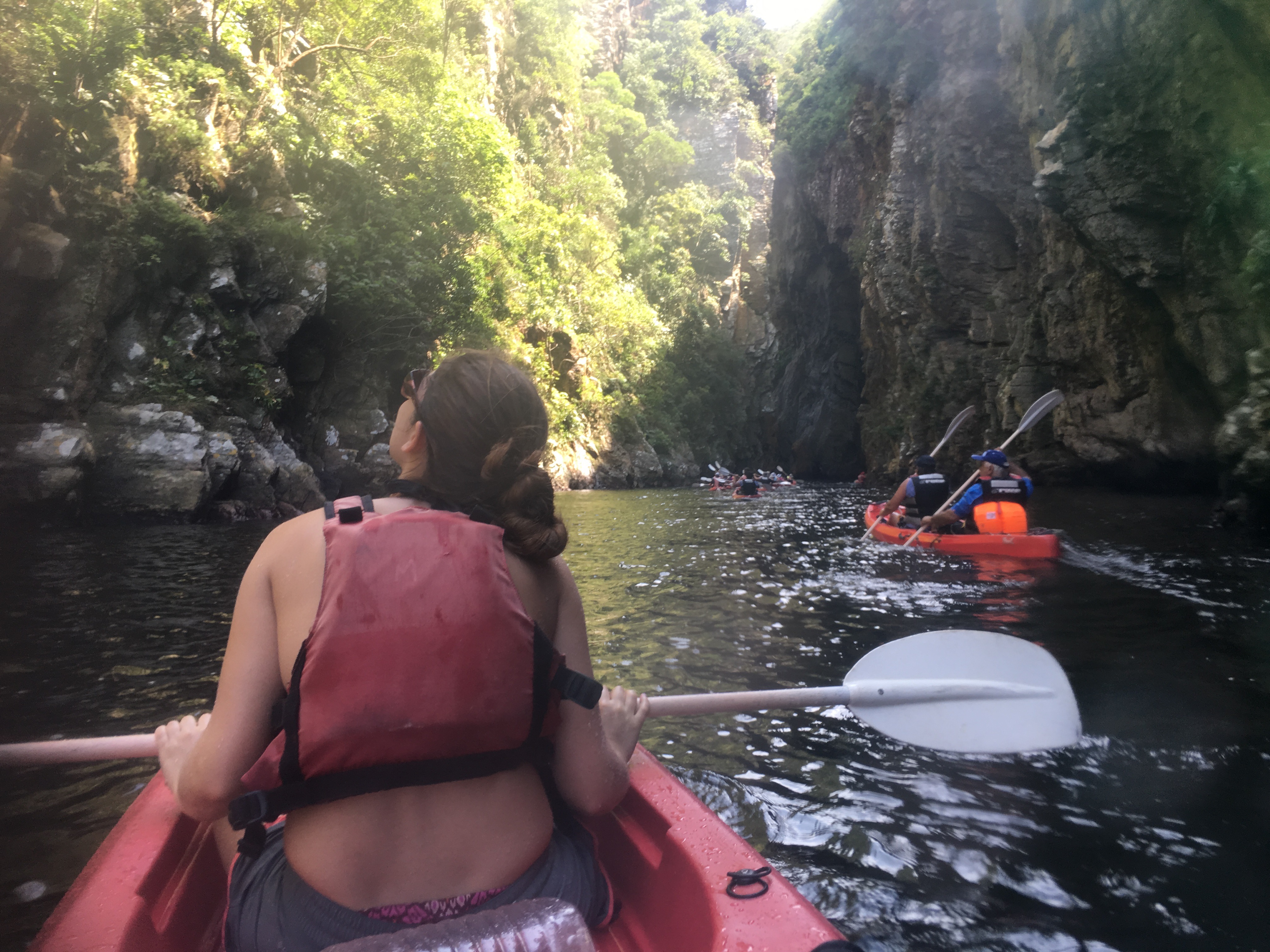 Back in the sunlight