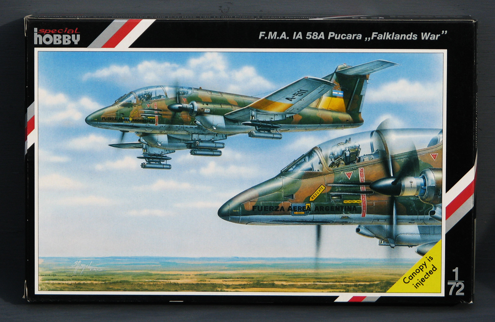 Pucara-1.jpg?ssl=1
