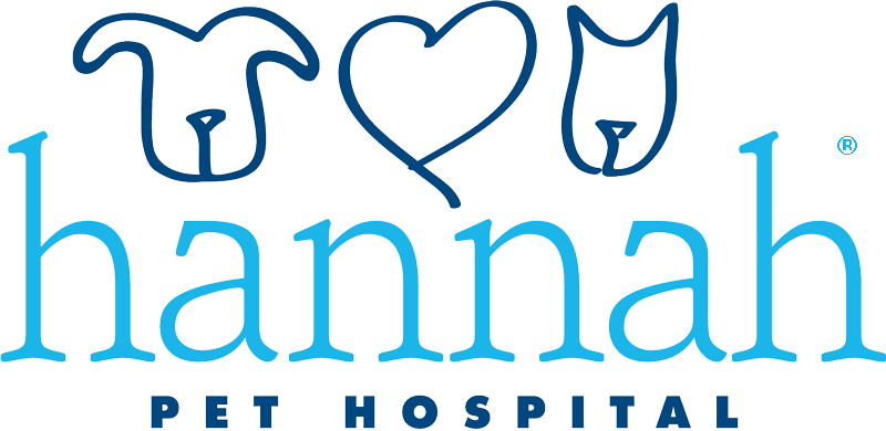 hannah pet hospital - all the medical care your pet needs on hannah the pet society tigard oregon