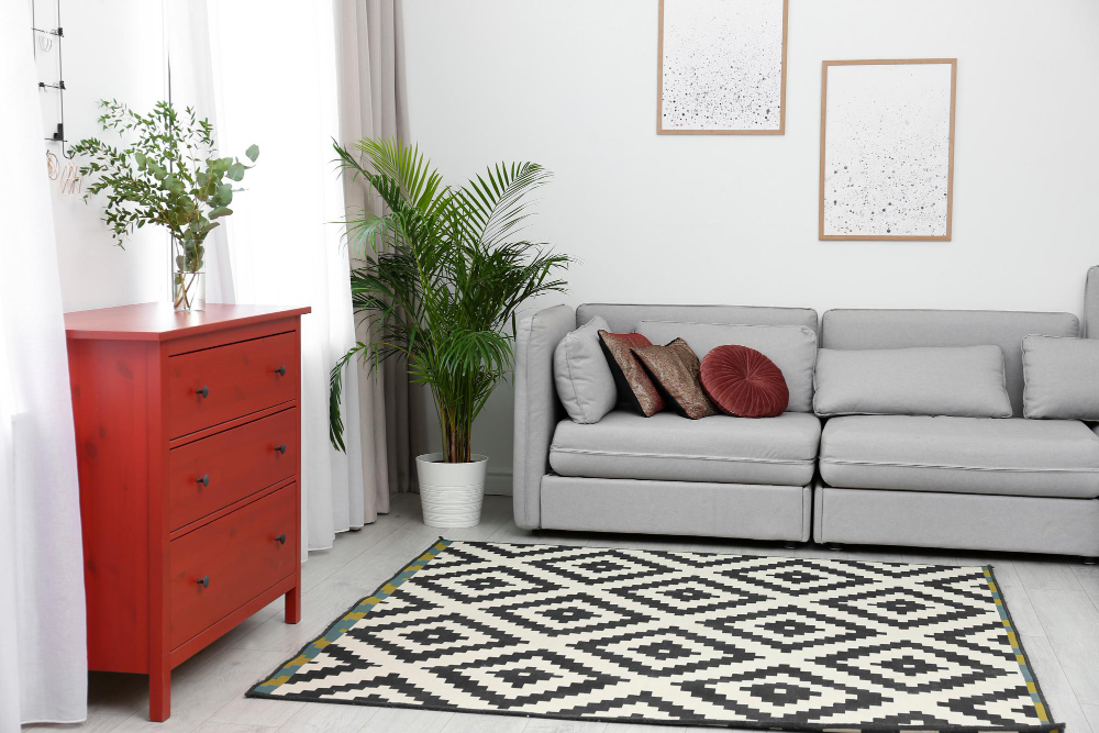 Rugs to Define Space