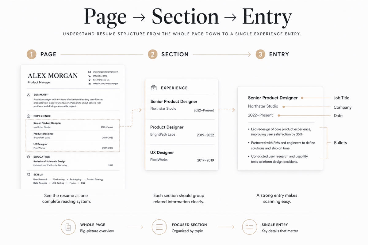 Resume Layout Design Tips For Better Structure Spacing And Readability 2