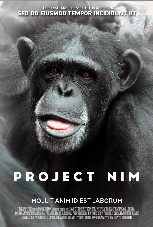 Under a Firefly Moon (Firefly Lake Book 1)