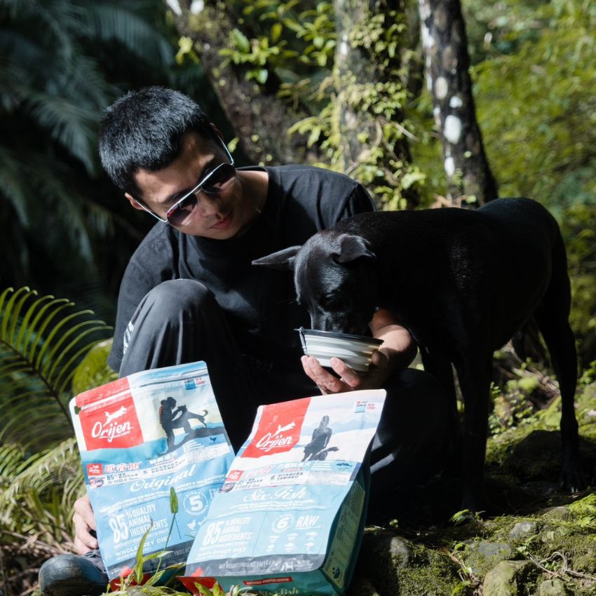 歐睿健-Orijen-鮮雞成犬-六種鮮魚犬-狗飼料-開箱-檳榔