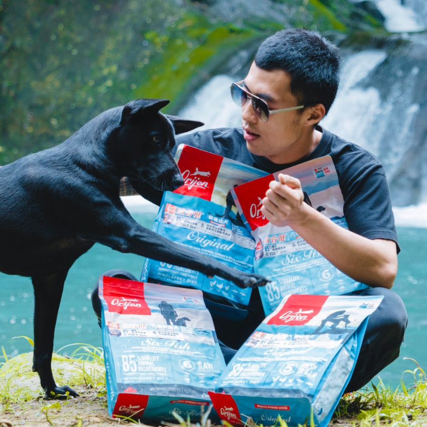 歐睿健-Orijen-鮮雞成犬-六種鮮魚犬-狗飼料-開箱-檳榔