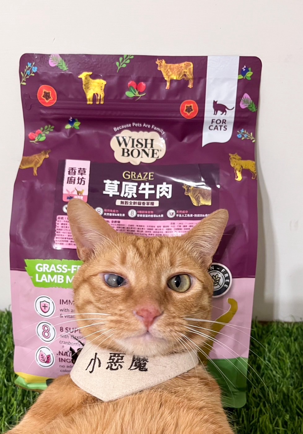 開箱推薦-香草廚坊-草原牛-貓飼料-豆乳雞