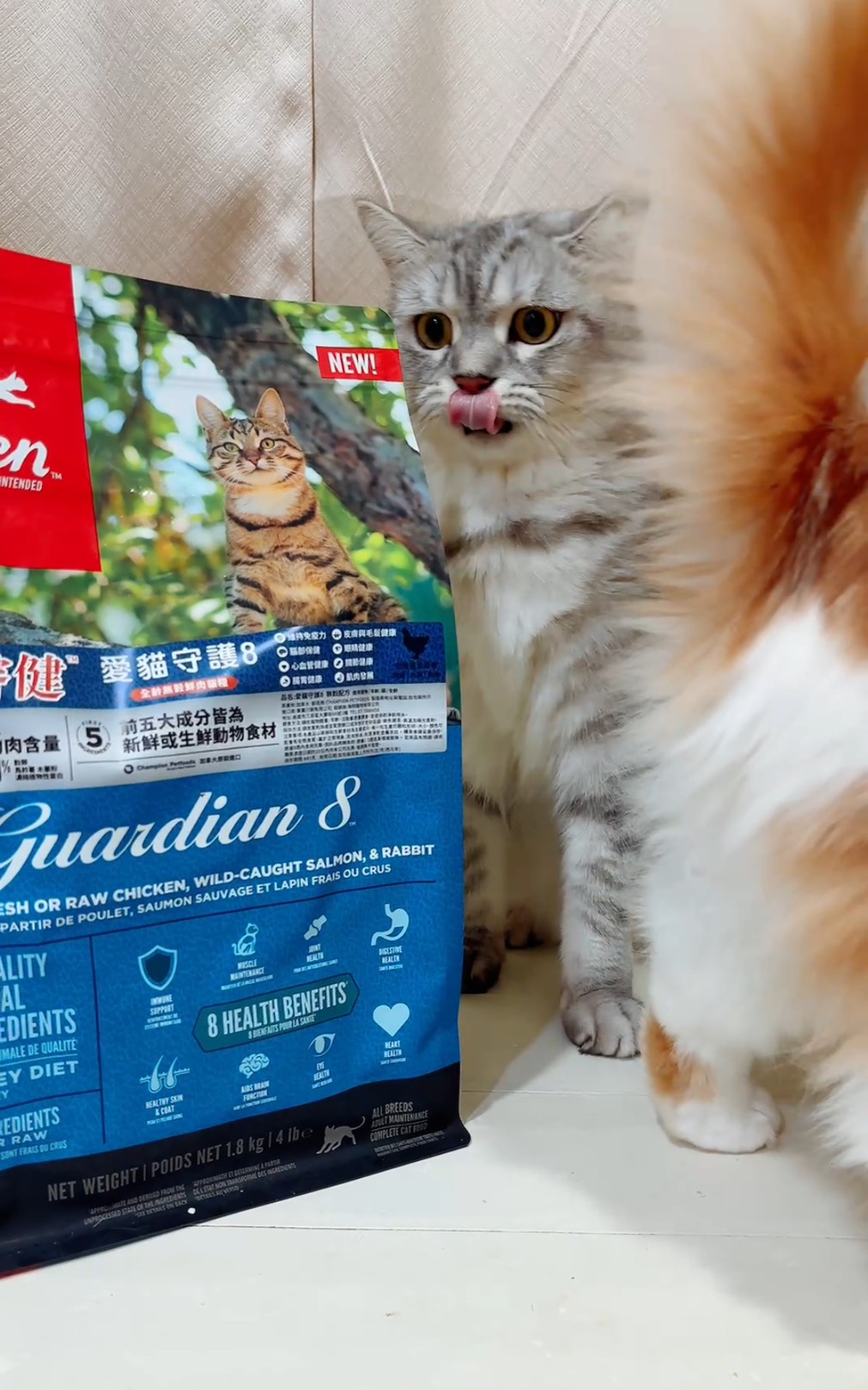 歐睿健-愛貓守護8-無榖貓飼料-開箱推薦-煉乳銀絲卷
