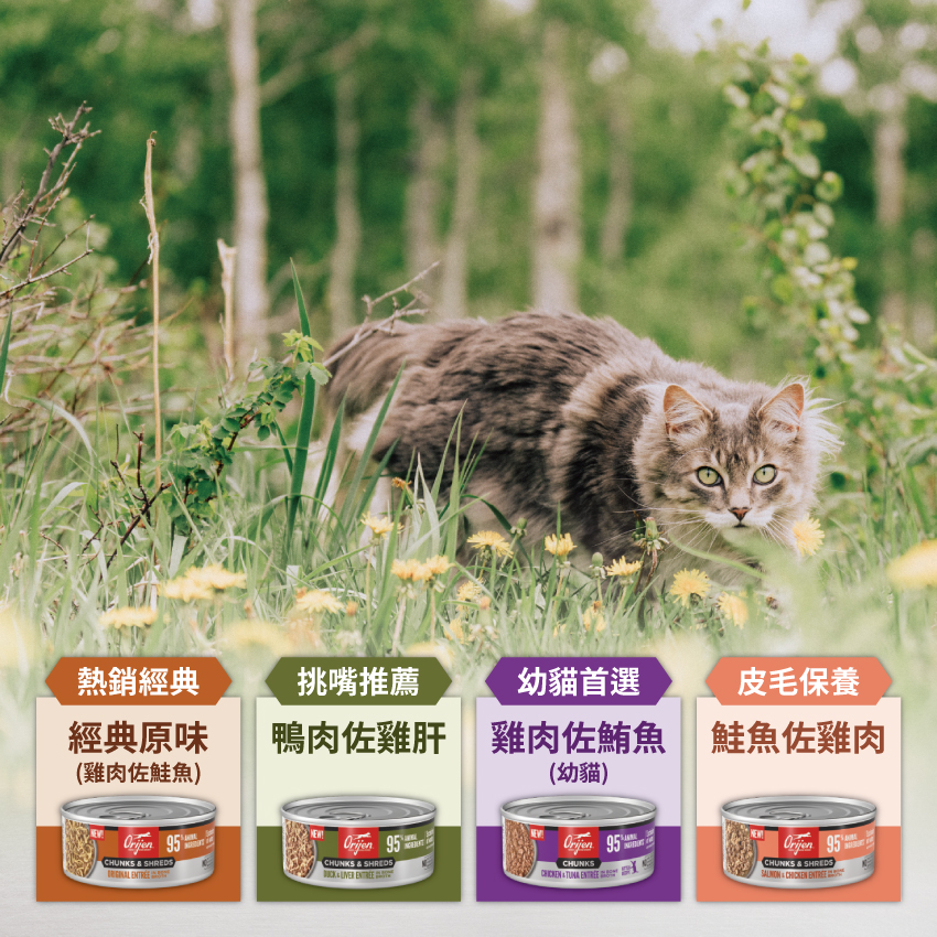 歐睿健主食罐,無穀 主食罐