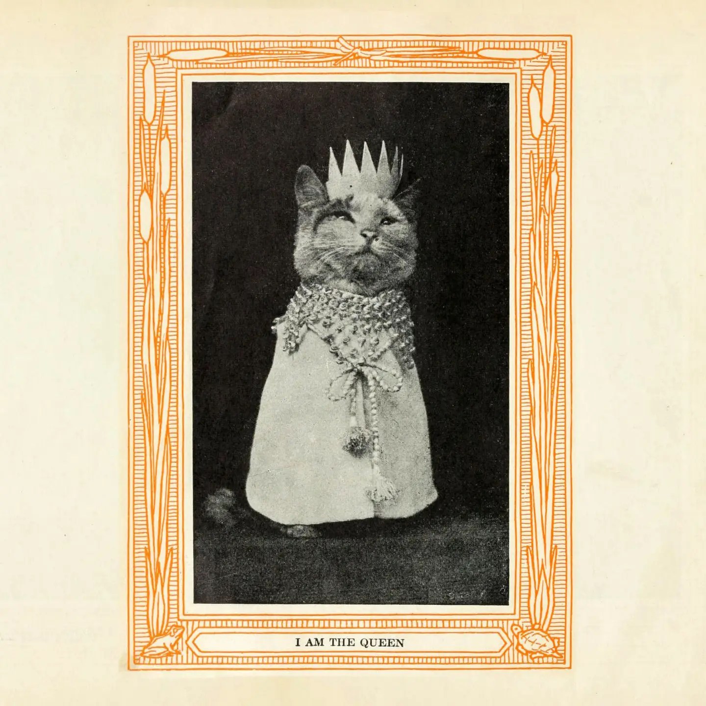 A vintage photo of a cat dressed up as a queen with the caption "I am the Queen"