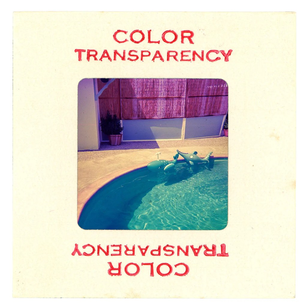 The full slide scan, showing the cardboard transparency holder with the words "COLOR TRANSPARENCY" on the top & bottom.