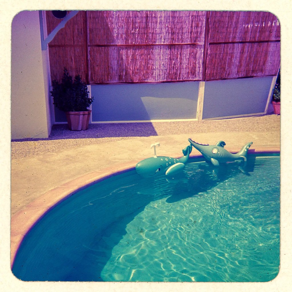 A cropped view of the color transparency slide from the 1960s or 70s showing a backyard pool with two inflatable toys (a whale and perhaps a sawfish).