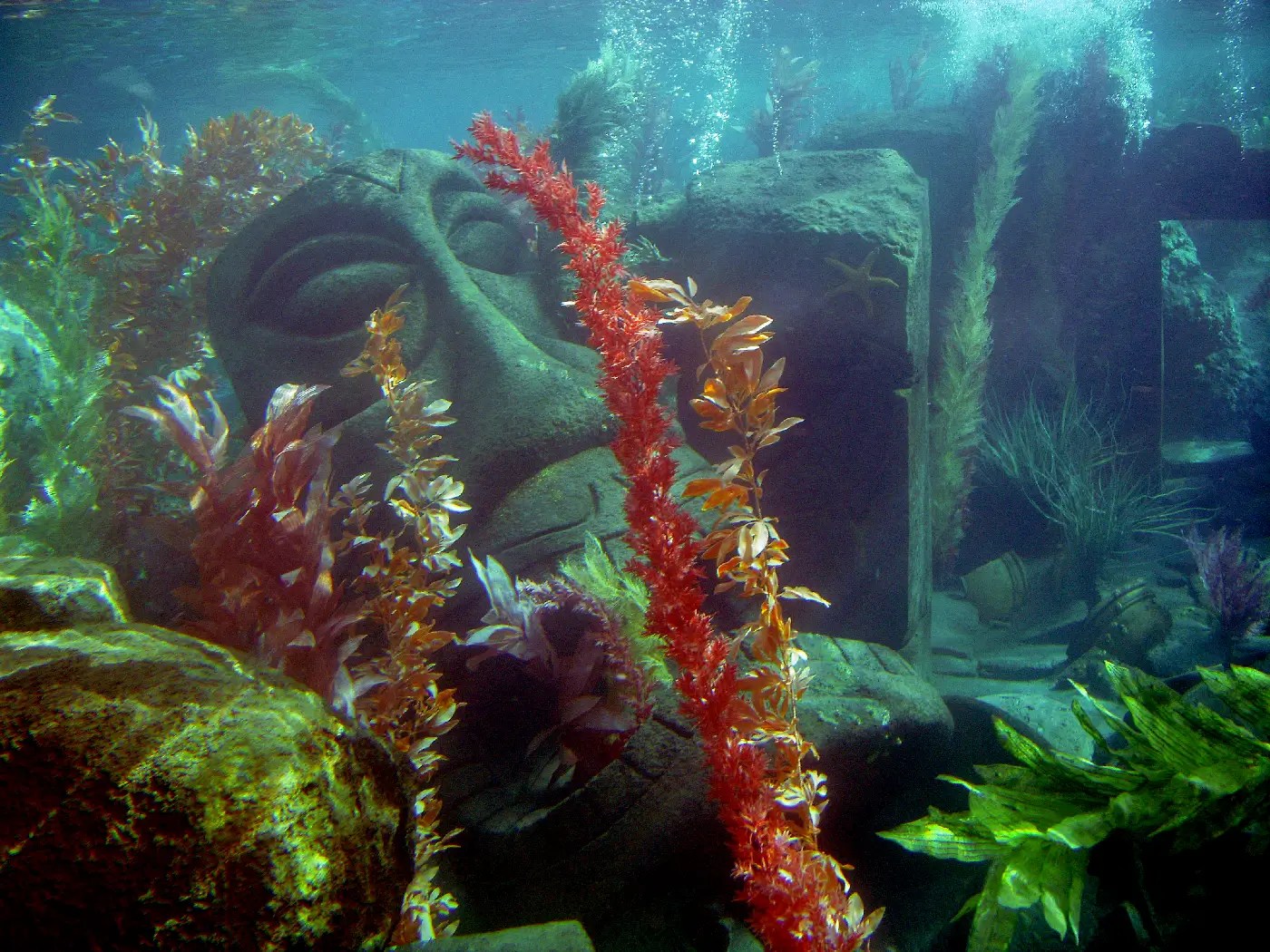 An underwater photo from the Disneyland "Finding Nemo Submarine Voyage" in 2007 shows a large stone idol surrounded by fake underwater plants