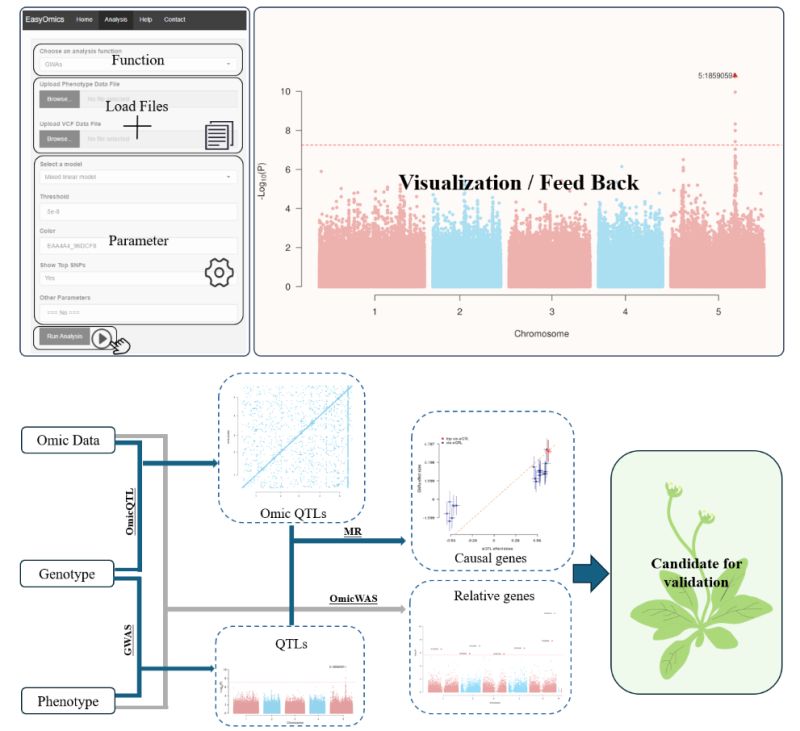 Github Hanyu Me Easyomics A Graphical User Interface For Omics Data - Vintage Backgrounds - Gorgeous High Resolution Collection