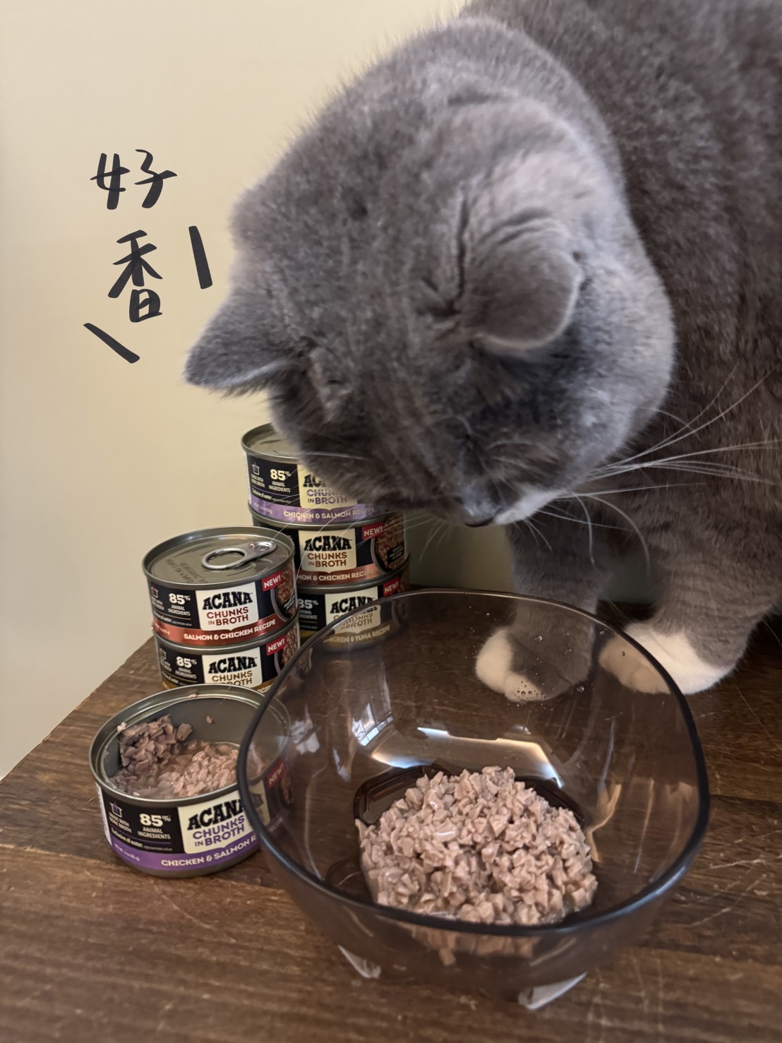 愛肯拿-acana-貓主食罐-開箱-嘟嘟嘿嘿比比