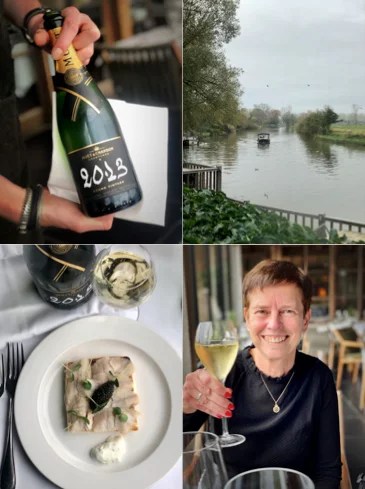 Grand Vintage 2013, een prachtige millésime champagne van Moët & Chandon