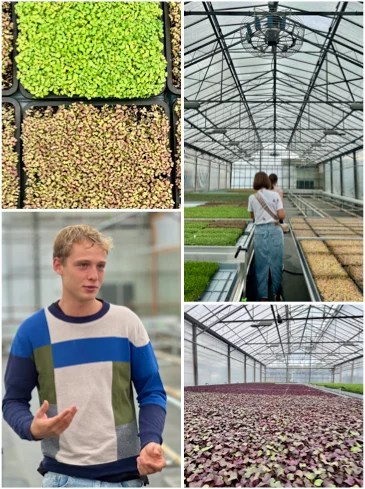 Micro's: een verhaal van scheuten, shoots & charmante dudes