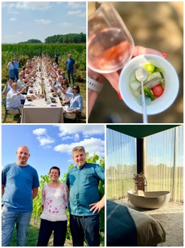 Wijndomein Leine: logeren en lunchen tussen de wijnranken