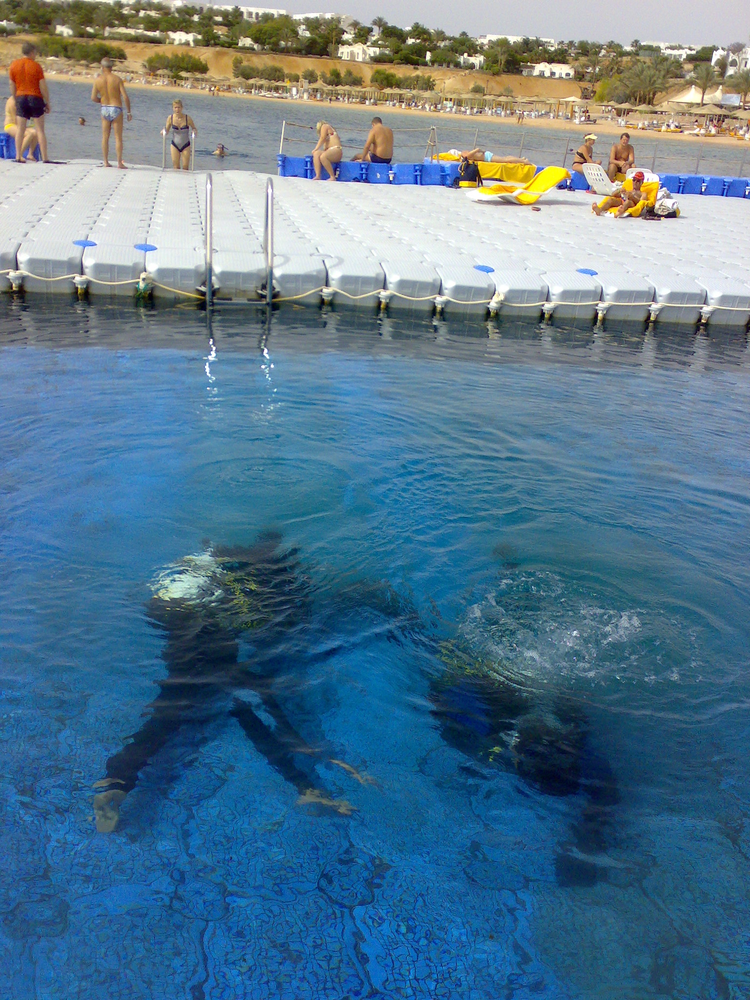 Iarbă de mare + pluș moale + funie de sisal. Pisica De Mare Cu Puncte Albastre Hapi Riverwoman