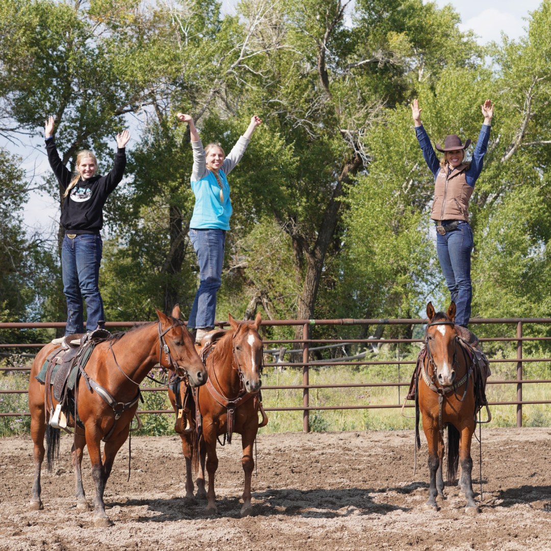 Training for 1 Horses : $1500