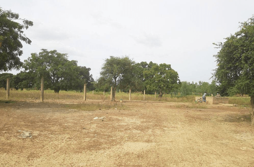 <strong>L’INSÉCURITÉ FONCIÈRE À LIMONADE : UN FREIN AU DÉVELOPPEMENT ÉCONOMIQUE DU COULOIR MARIEN</strong>