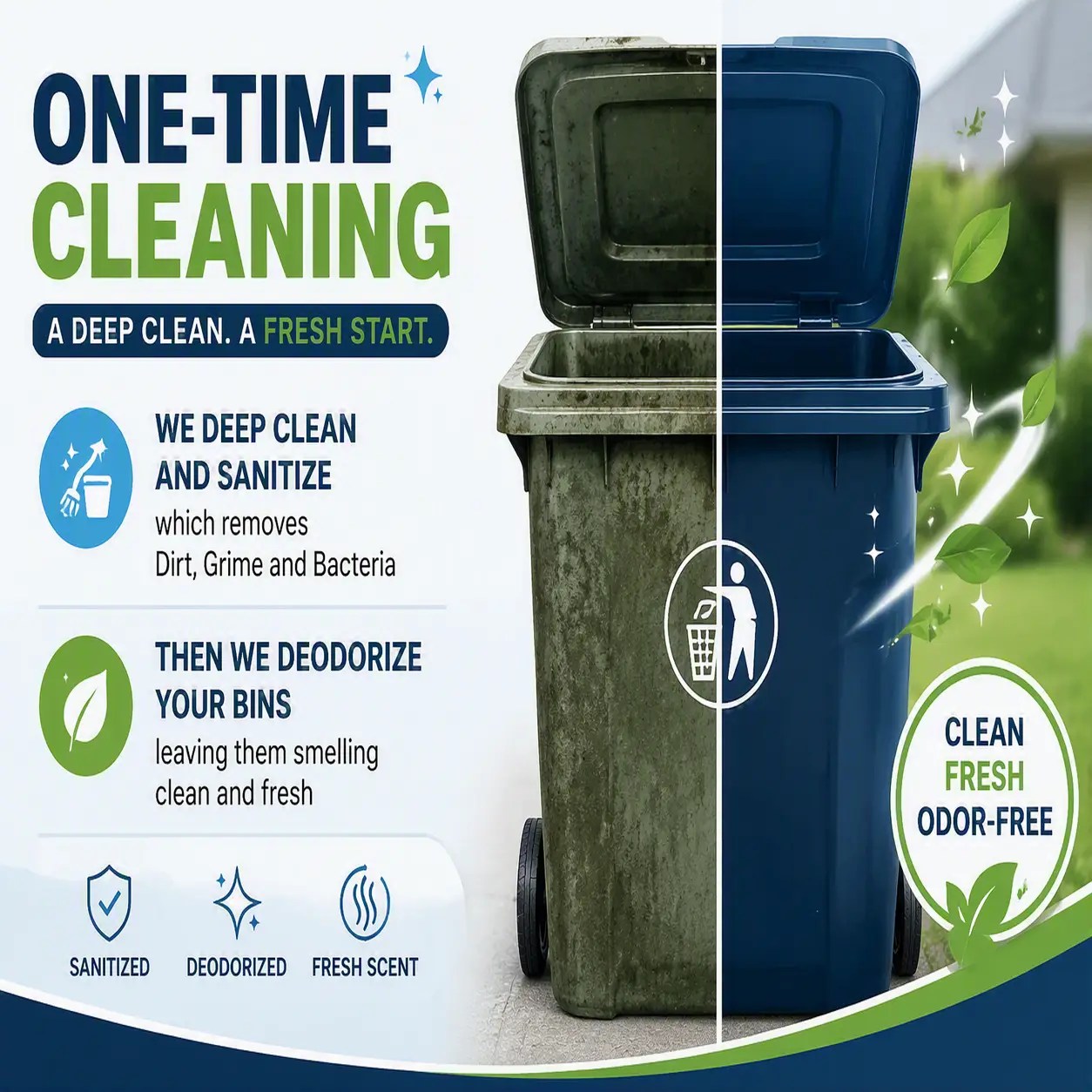 One-Time Cleaning