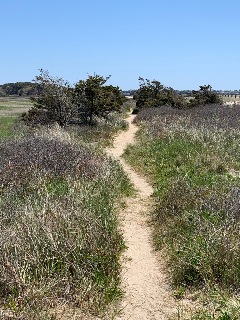 Sandy Path – HappyCapeCod
