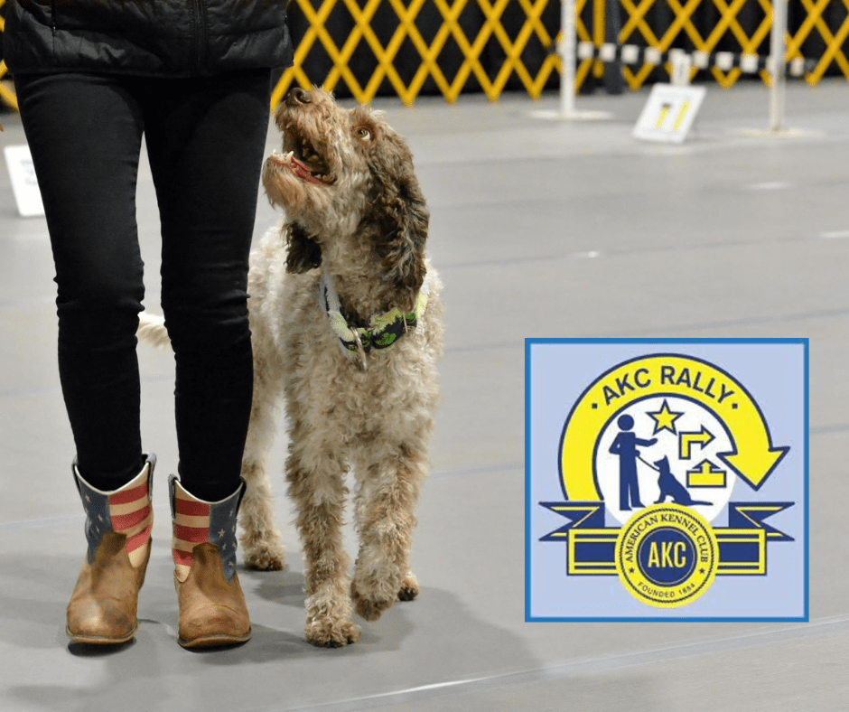 AKC Virtual Rally Title