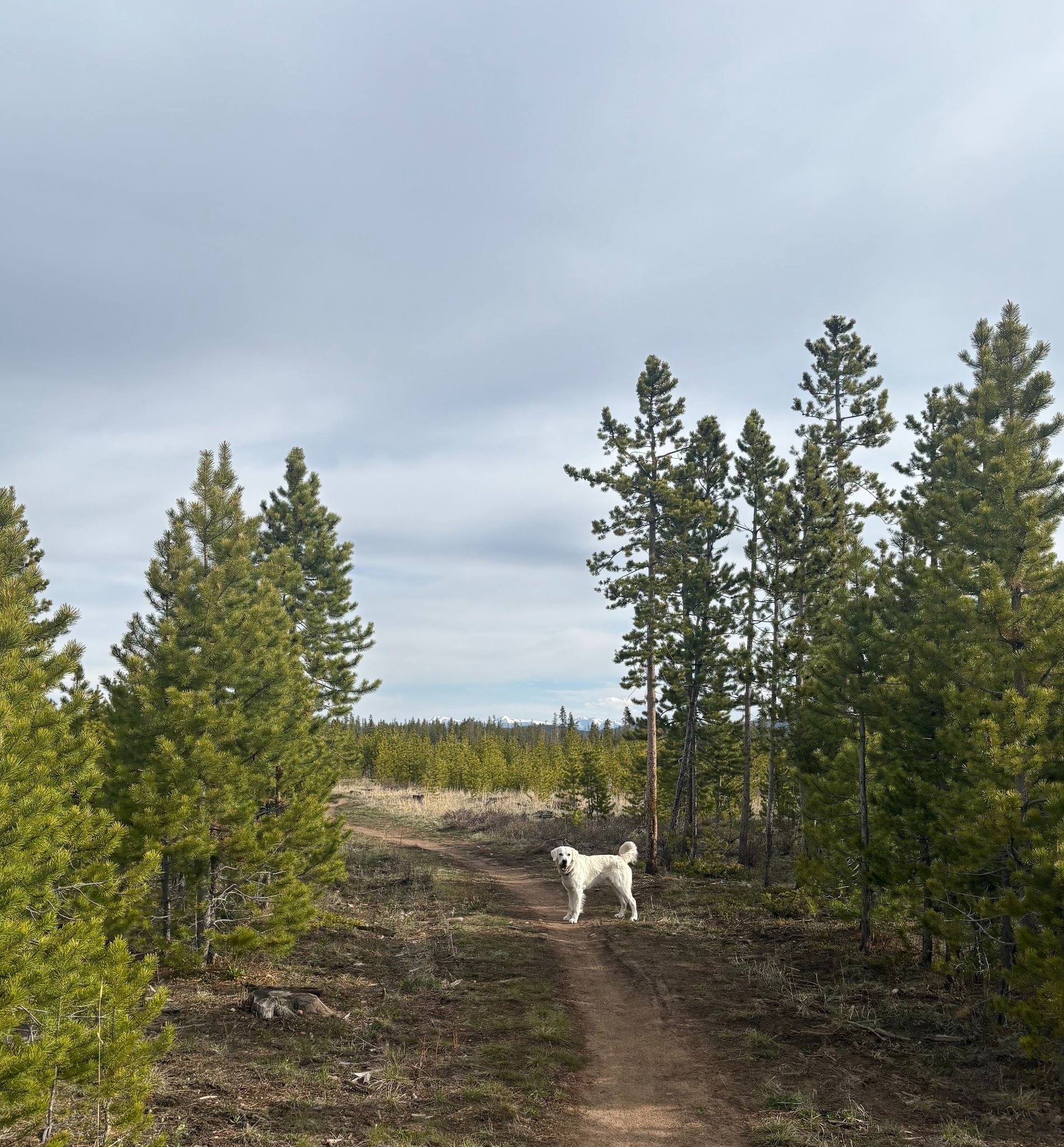 May Mud Season