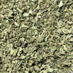 Bud Shake