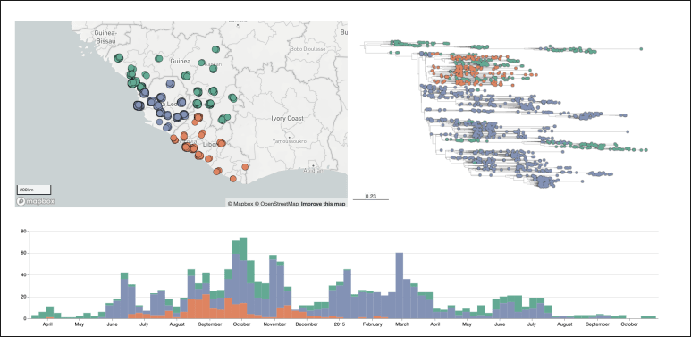 Github Microreact Data - Download Beautiful Light Illustration | Ultra HD