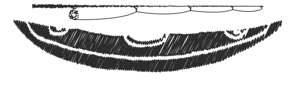 Fishing Kayak