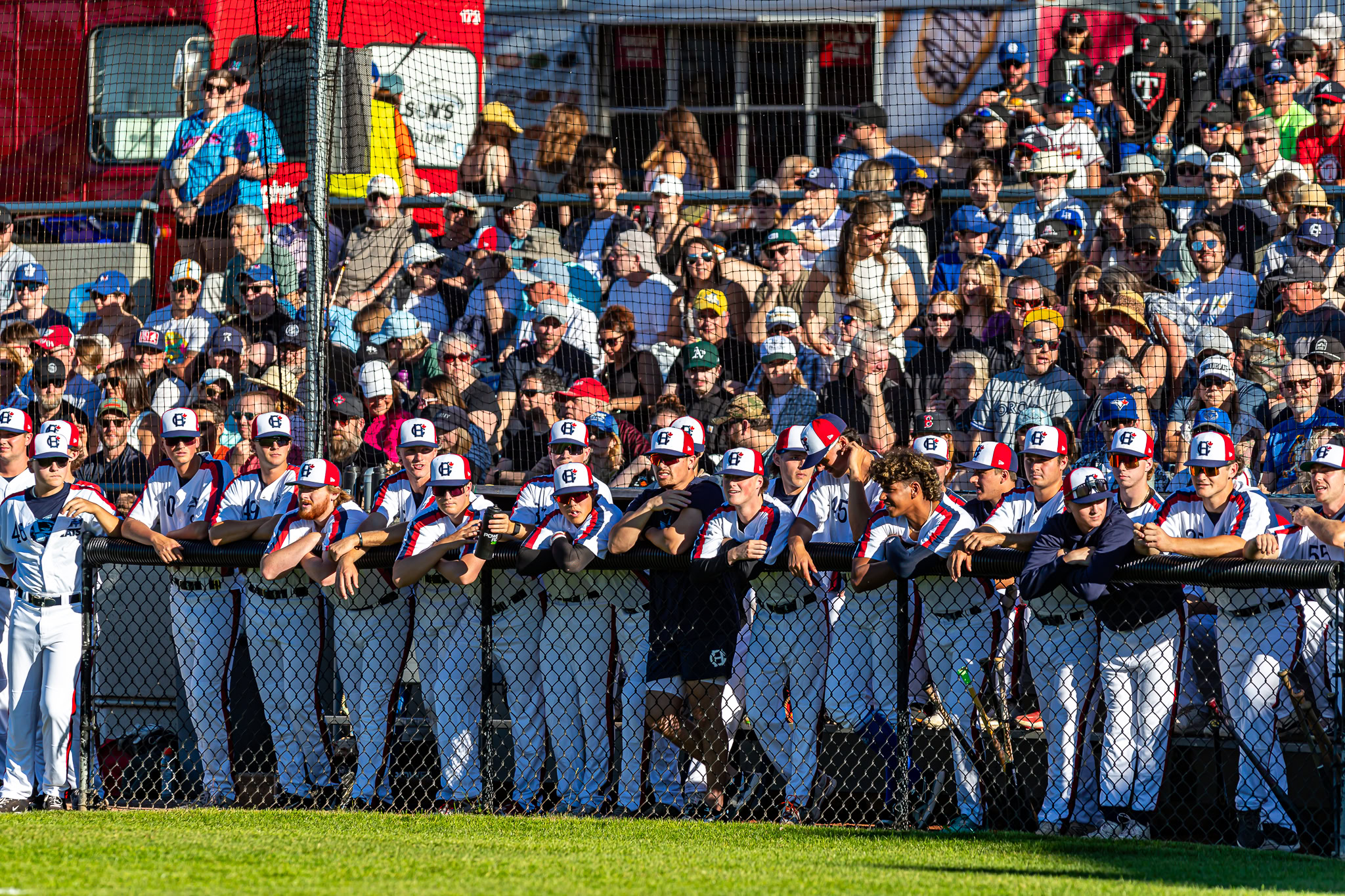 Victoria Harbourcats 2026 Schedule Features Many Highlights DX2 7653.