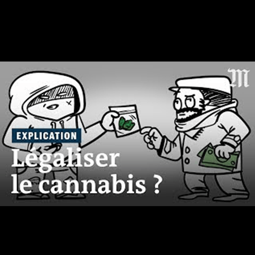 « Cannabis : la légalisation est-elle moins coûteuse que l’interdiction ? » (Le Monde)