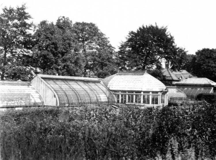 old greenhouses