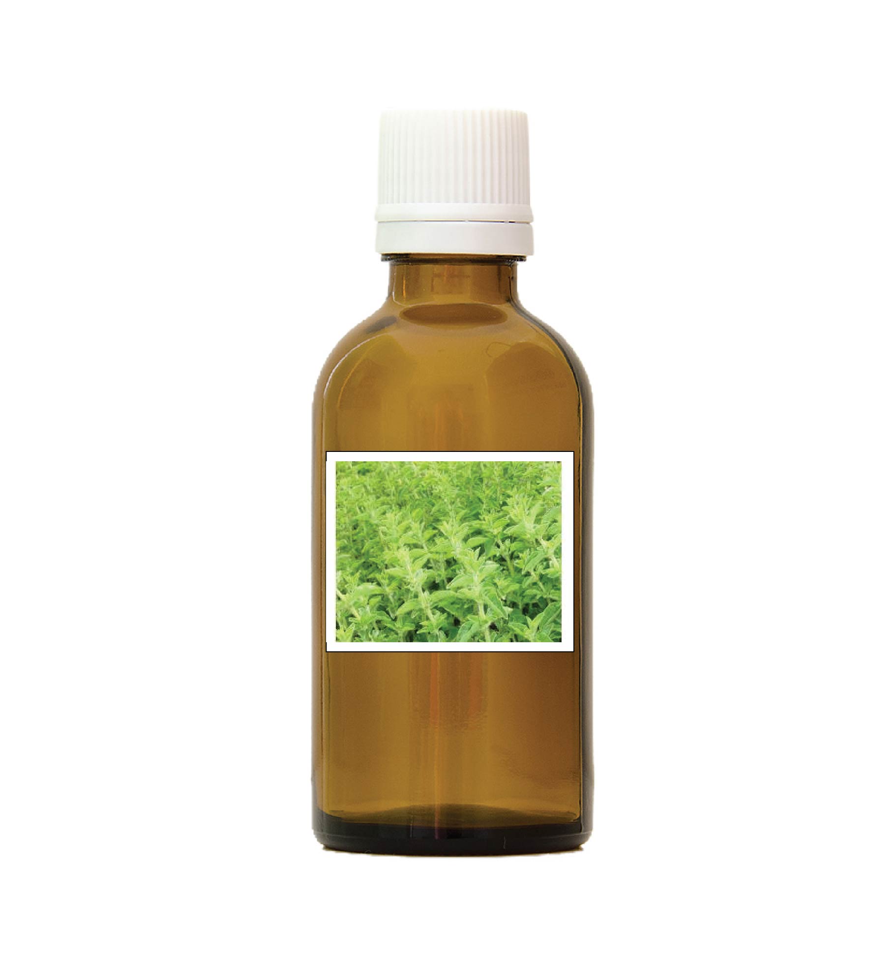 harmonie quantique - alcoolature-origan-vulgaire