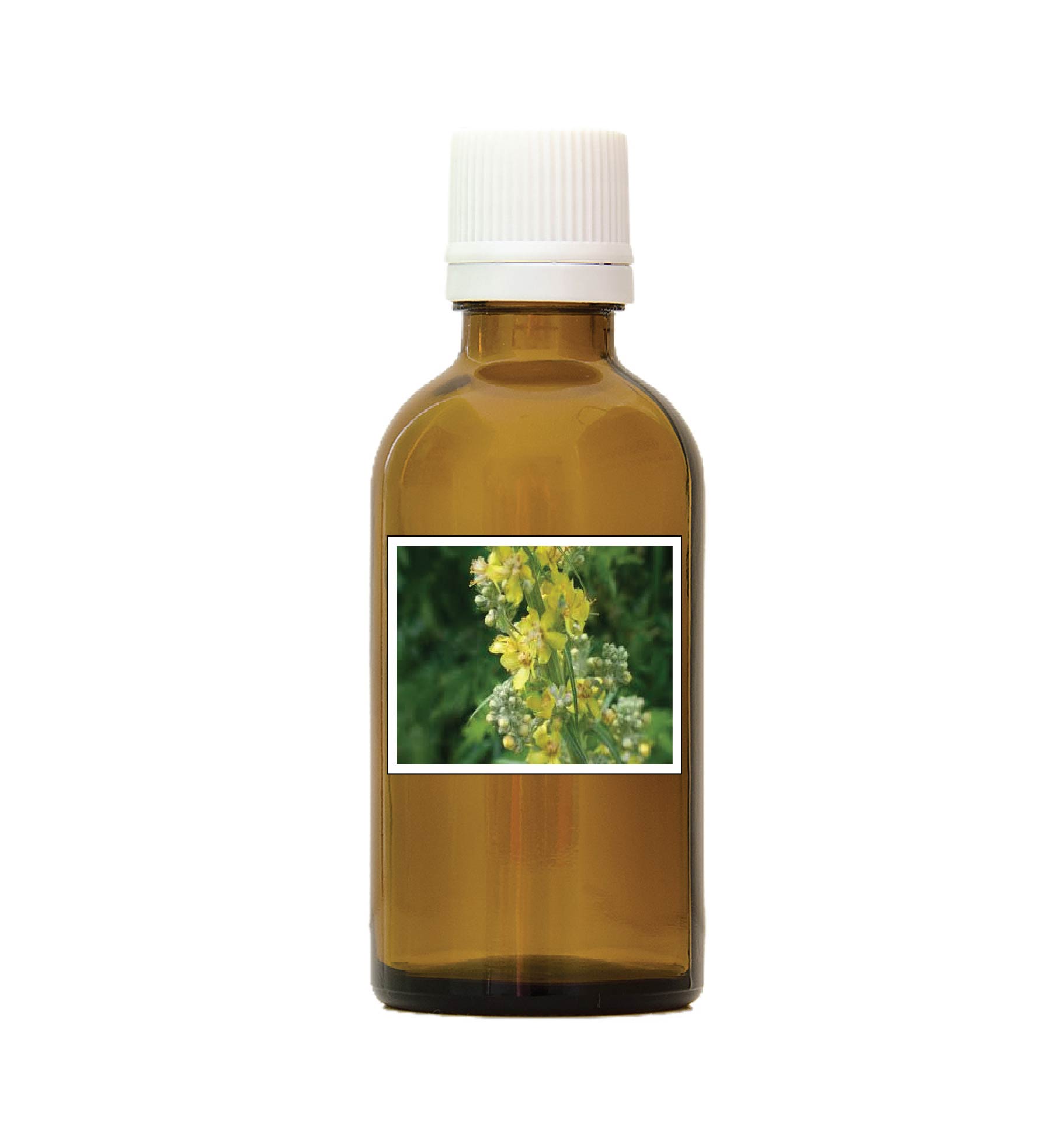 harmonie quantique - alcoolature-bouillon-blanc