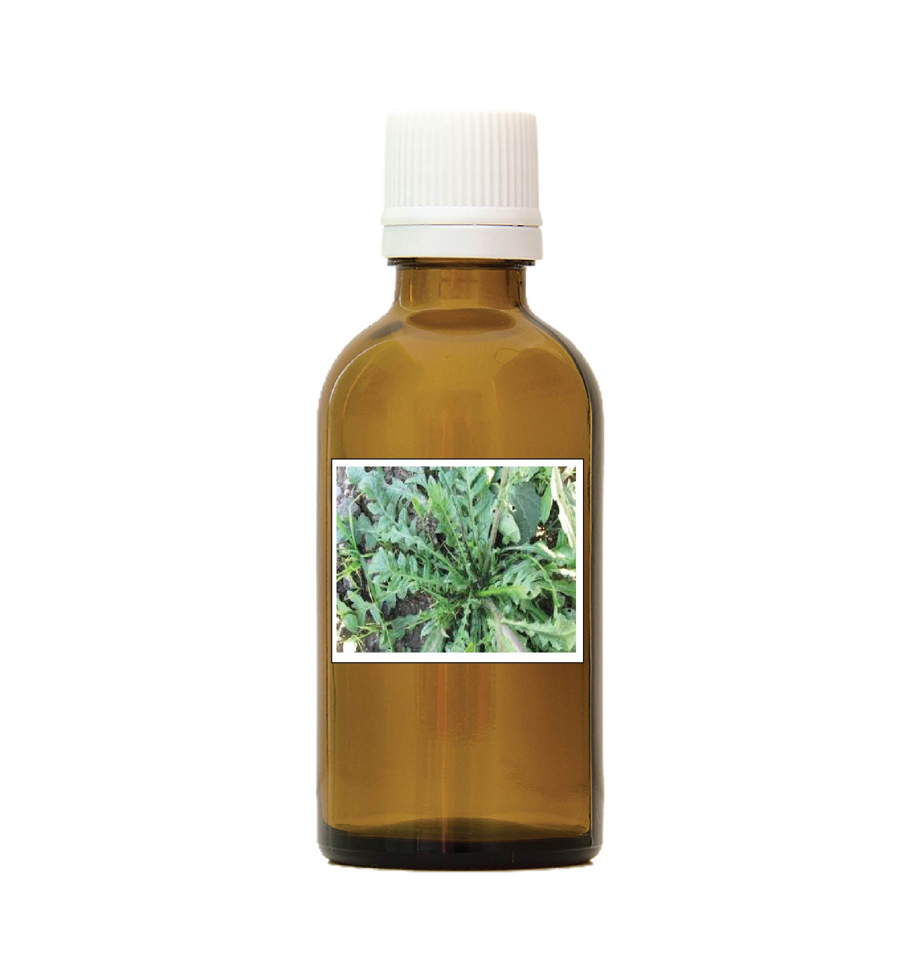 harmonie quantique - alcoolature-bourse-a-pasteur