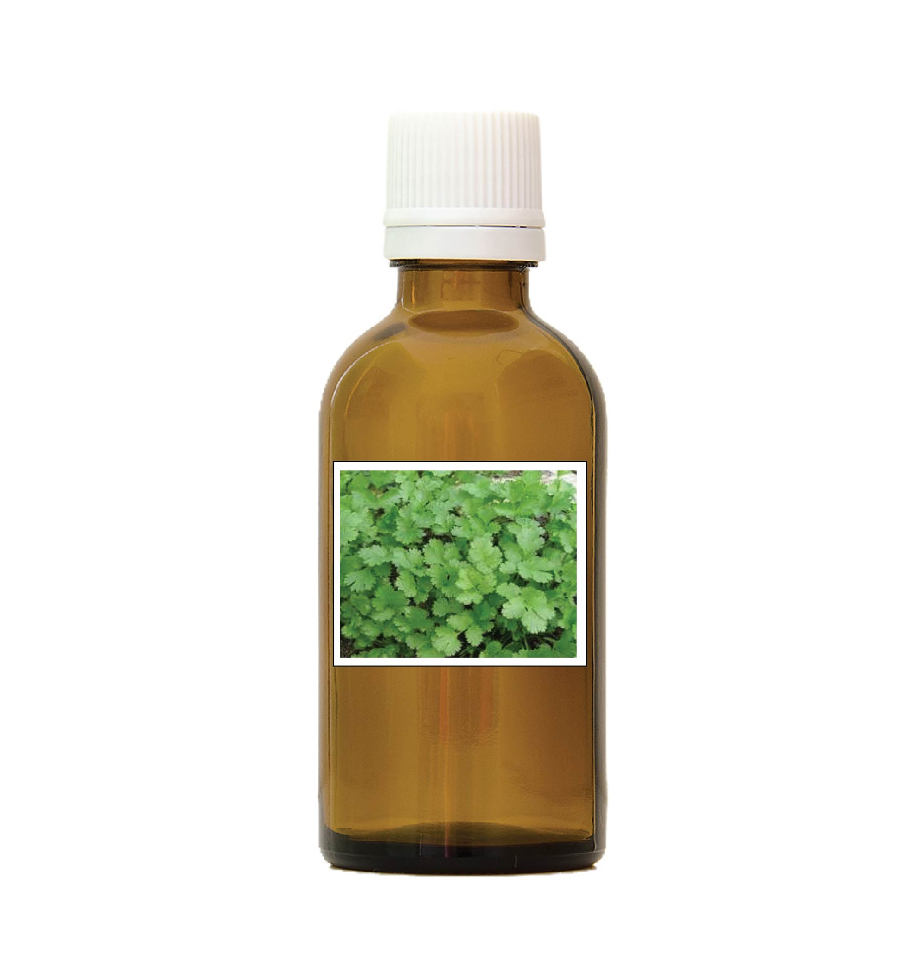 harmonie quantique - alcoolature-coriandre