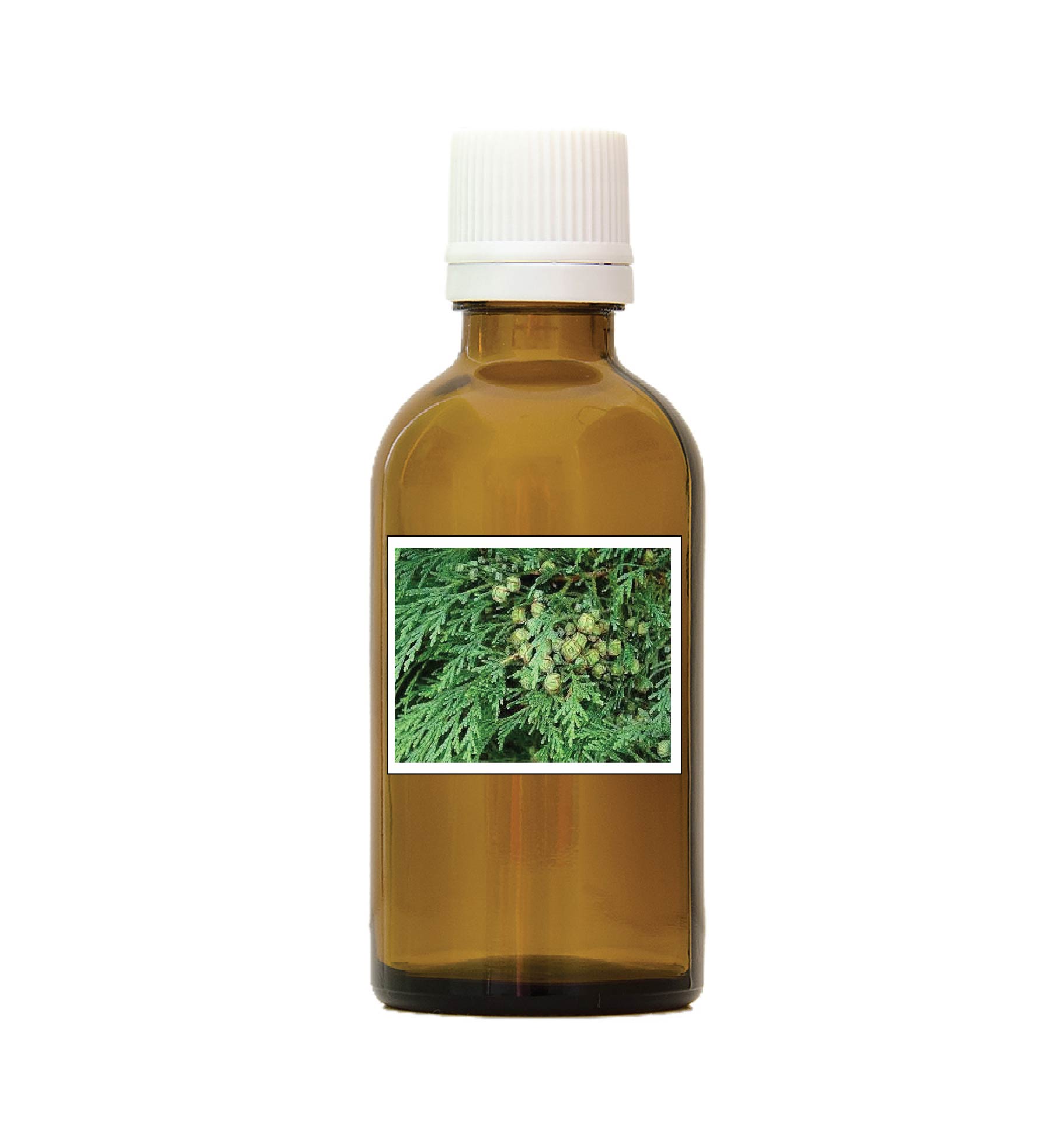 harmonie quantique - alcoolature-cypres