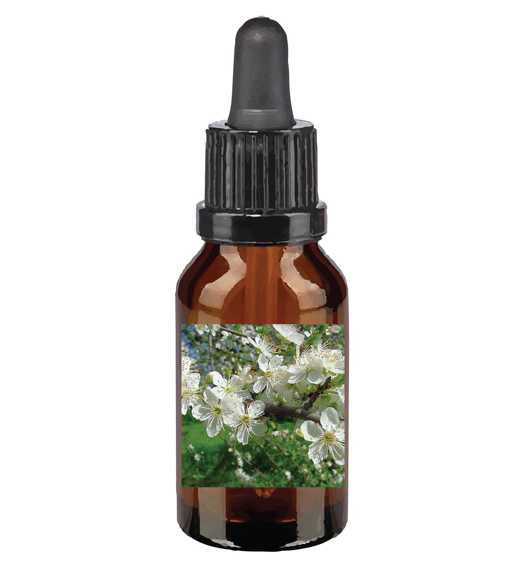 harmonie quantique - fleurs-de-Bach_cherry-plum
